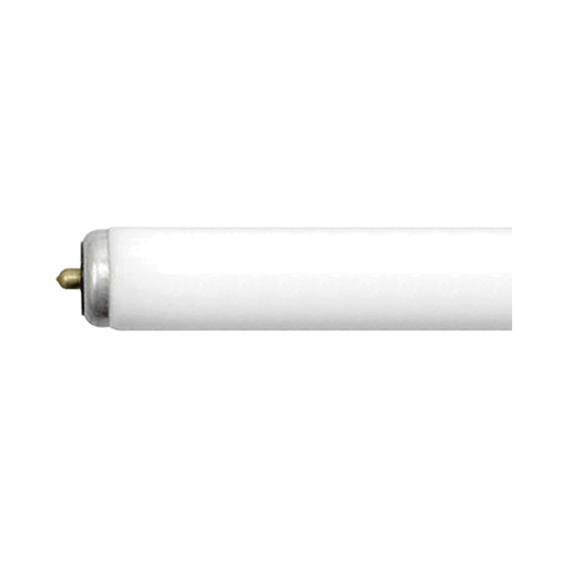 Fluorescent Light Bulbs
